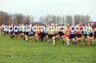 Senior mens 2023 North Eastern Cross Country Champs., Temple Park, South Shields. Photo: David T. Hewitson/Sports for All Pics